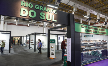 kontynuować walka Zreorganizować feira calçados rio grande do sul Szanowna  Pani ważny chcę